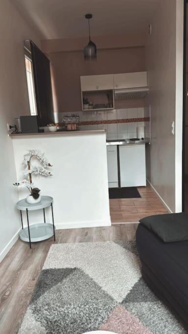 Beautiful F2 Apartment 5 Stops By Train From Paris Moret-sur-Loing Zewnętrze zdjęcie