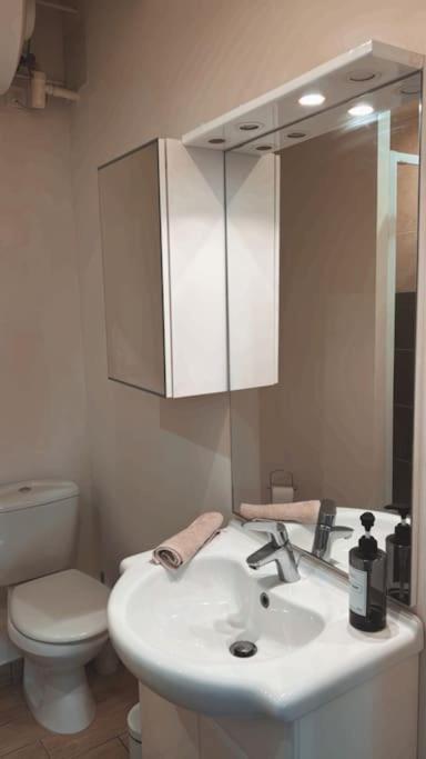 Beautiful F2 Apartment 5 Stops By Train From Paris Moret-sur-Loing Zewnętrze zdjęcie
